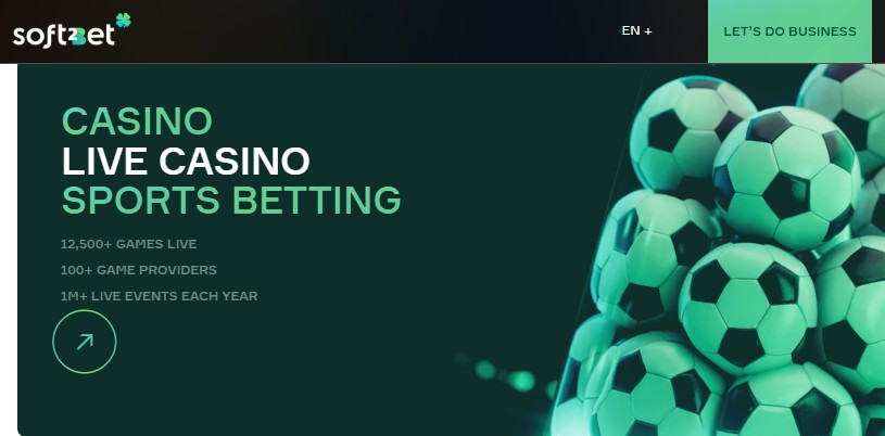 Understanding Branded Casino Skins The Future of Online Gaming Understanding Branded Casino Skins The Future of Online Gaming
